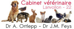 Cabinet Vétérinaire à Lanvollon